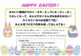 【春休み特別企画】ハッピーイースターイベント開催！
